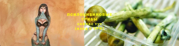 герыч Горняк