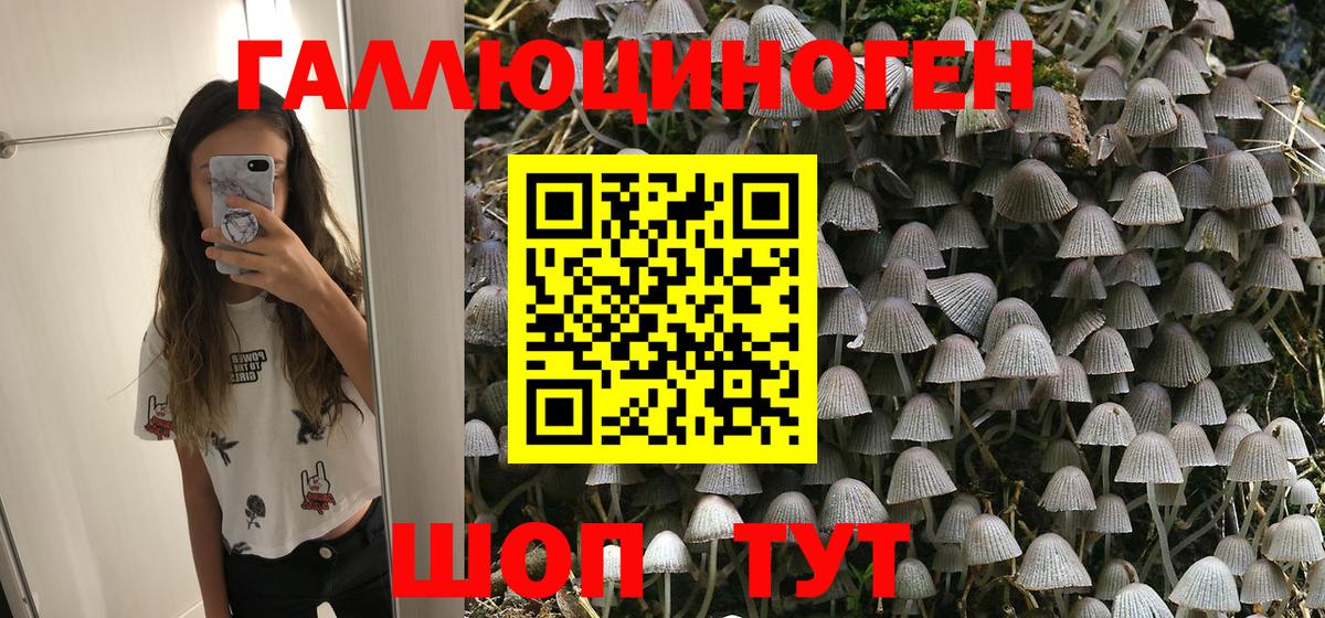 Галлюциногенные грибы мухоморы Дивногорск