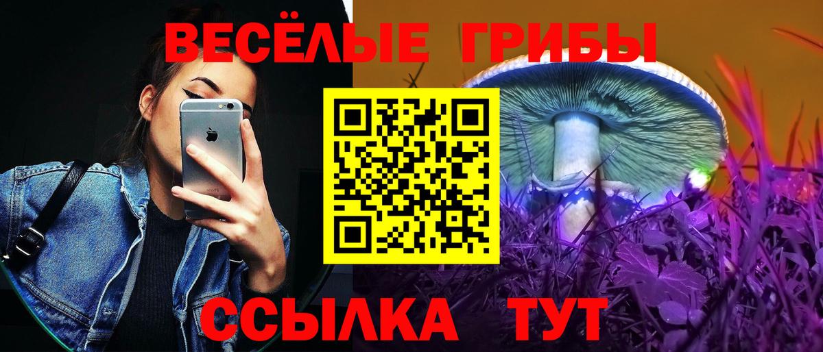 Псилоцибиновые грибы MAGIC MUSHROOMS  Псилоцибиновые грибы Cubensis  Вход с VPN  Дивногорск 