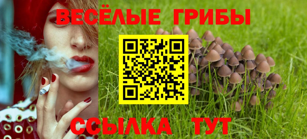 Галлюциногенные грибы Cubensis  Галлюциногенные грибы Cubensis  Дивногорск 